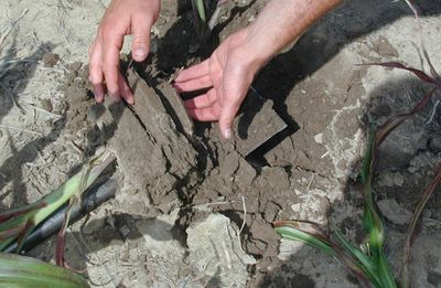 soil compaction structure
