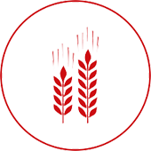 icon-agriculture